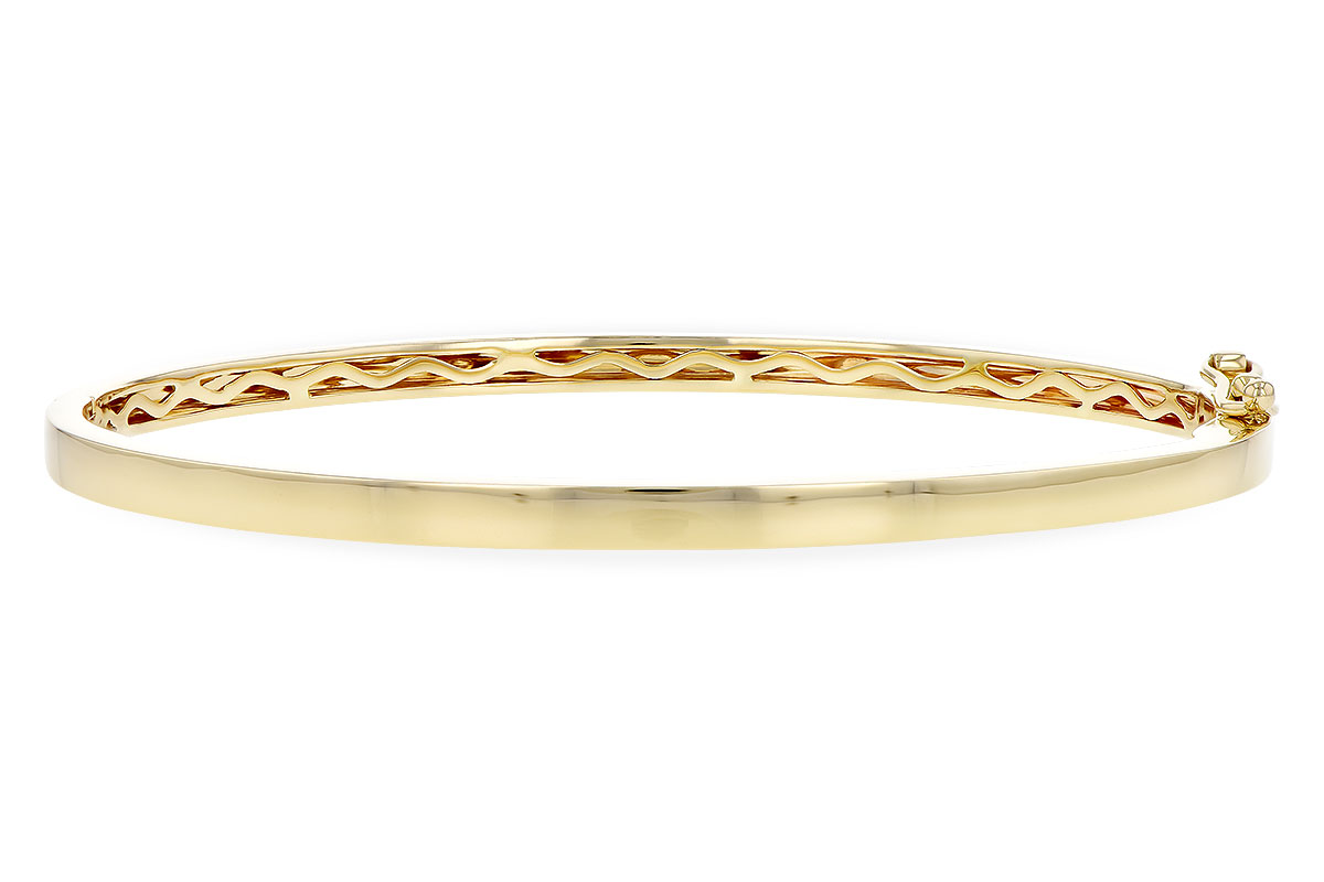 G291-17831: BANGLE (C207-50586 W/ CHANNEL FILLED IN & NO DIA)